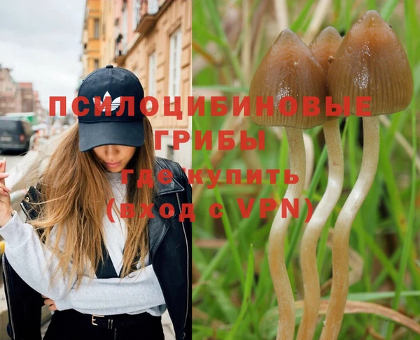 стаф Алексеевка