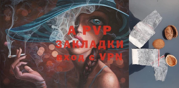стаф Алексеевка